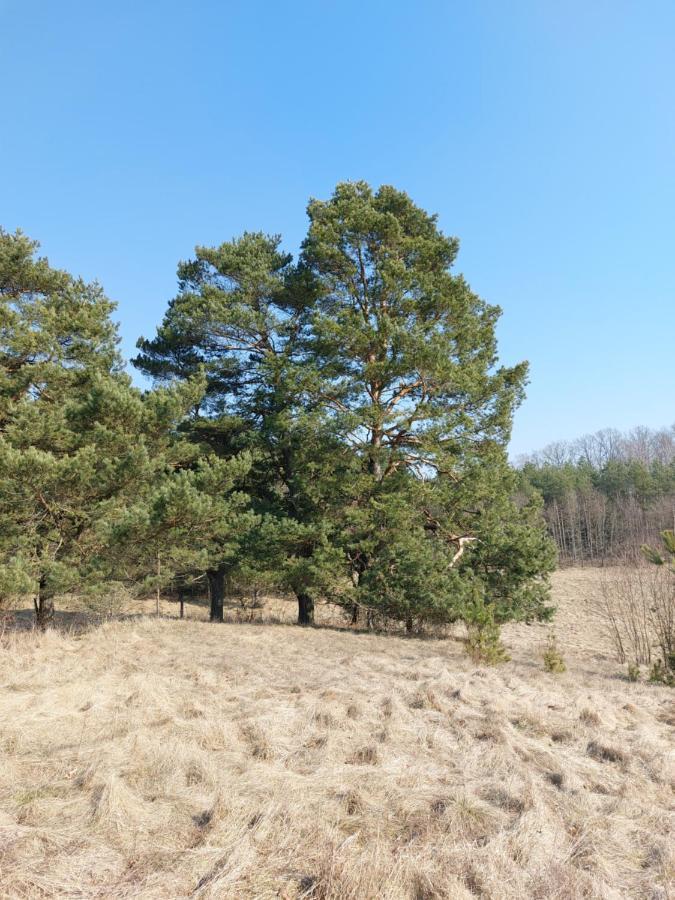 Vila Chalet Avec Vue Unique Kętrzyn Exteriér fotografie